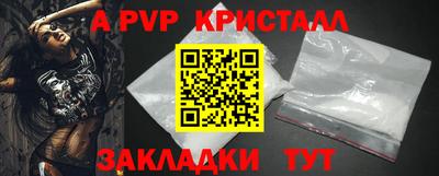 шишки Бийск