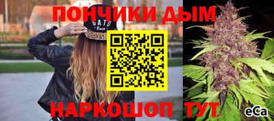 шишки Бийск