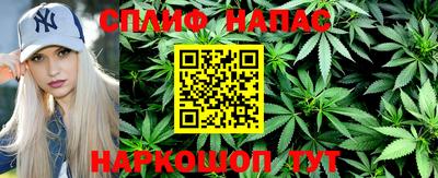 шишки Бийск