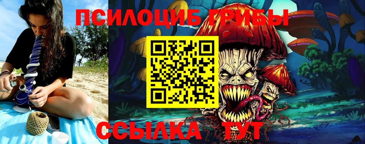 Галлюциногенные грибы прущие грибы  Вход с VPN  Губкинский 