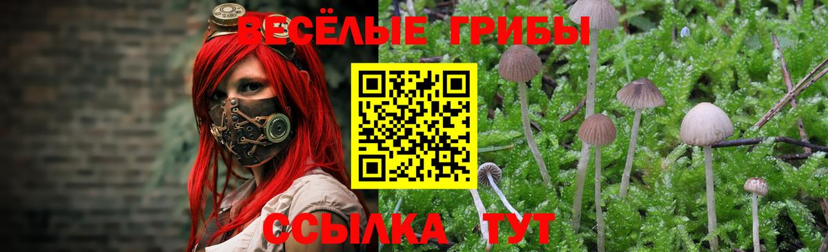 Псилоцибиновые грибы Magic Shrooms Губкинский